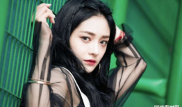 吃瓜娱乐圈周洁琼是谁的孩子,揭秘娱乐圈明星周洁琼的神秘孩子身份